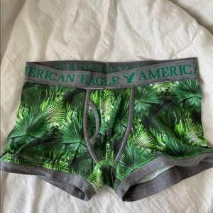 AE briefs